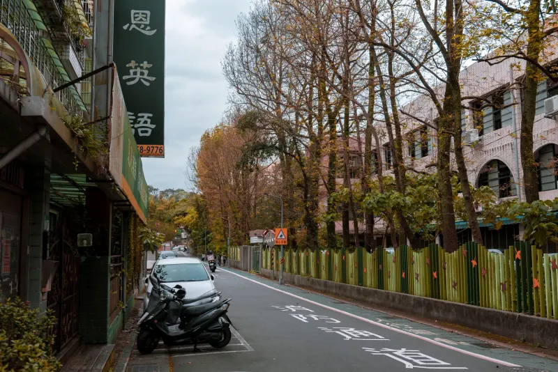 高园顿设计平面设计服务与品牌视觉系统定制方案详解